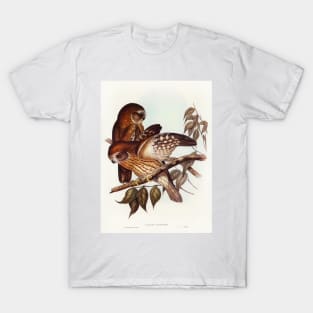 Boobook Owl (Athene boobook) T-Shirt